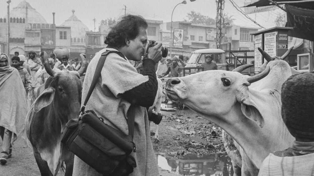 Remembering Raghu Rai: Five photographers explore the enduring legacy of the guru with the camera